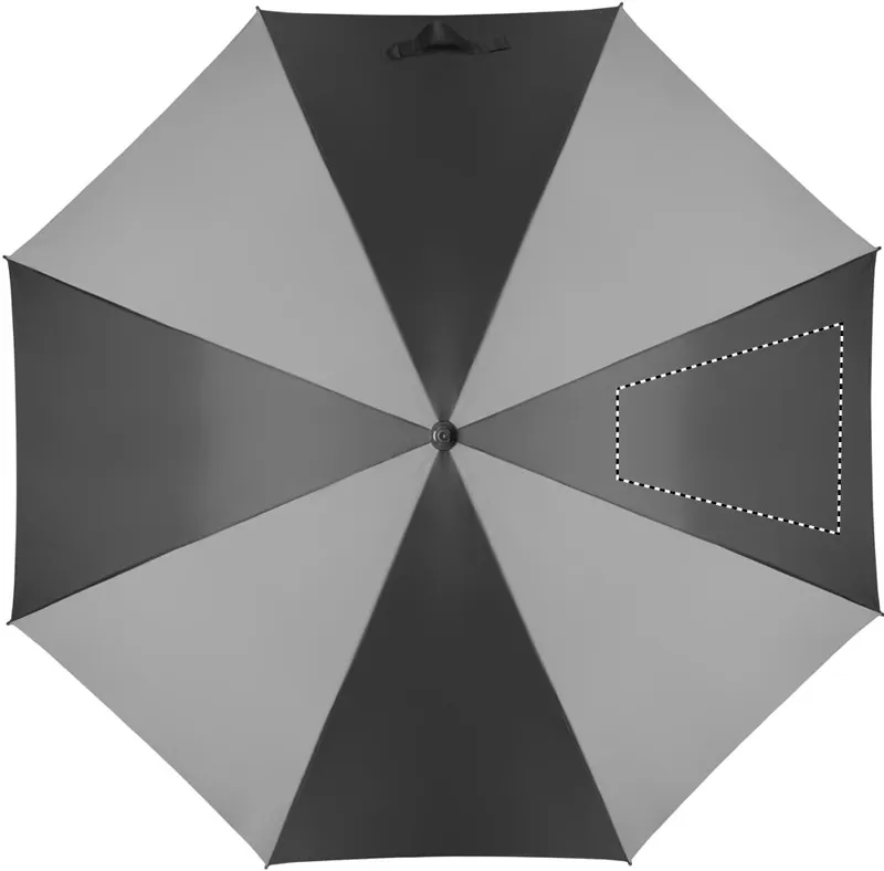 SEGMENT 3
