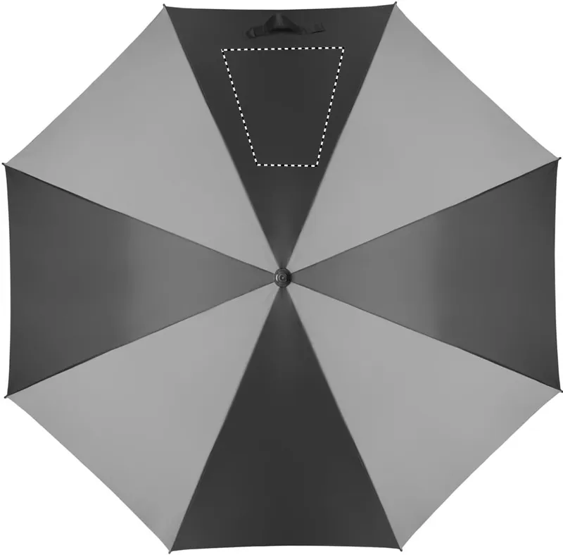 SEGMENT 4