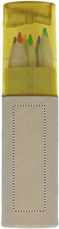 CARTON BACK
