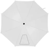 SEGMENT1