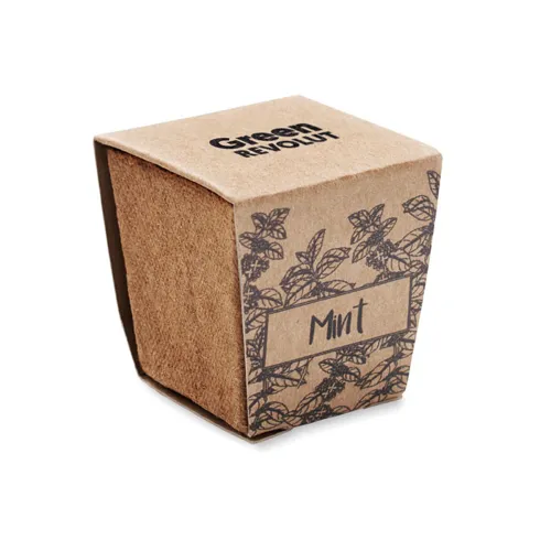 MINT KIT Menta ültetőkészlet Bézs 
