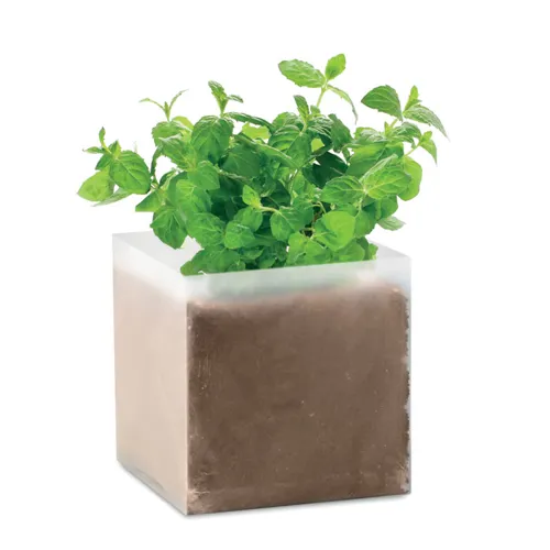 MINT Menta ültetőszett Bézs 
